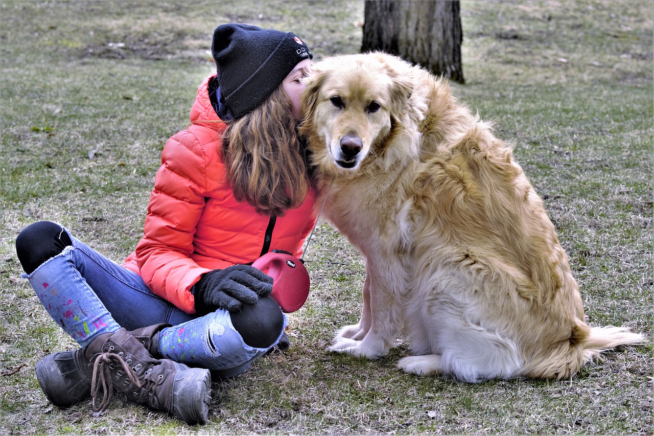 chiens de thérapie