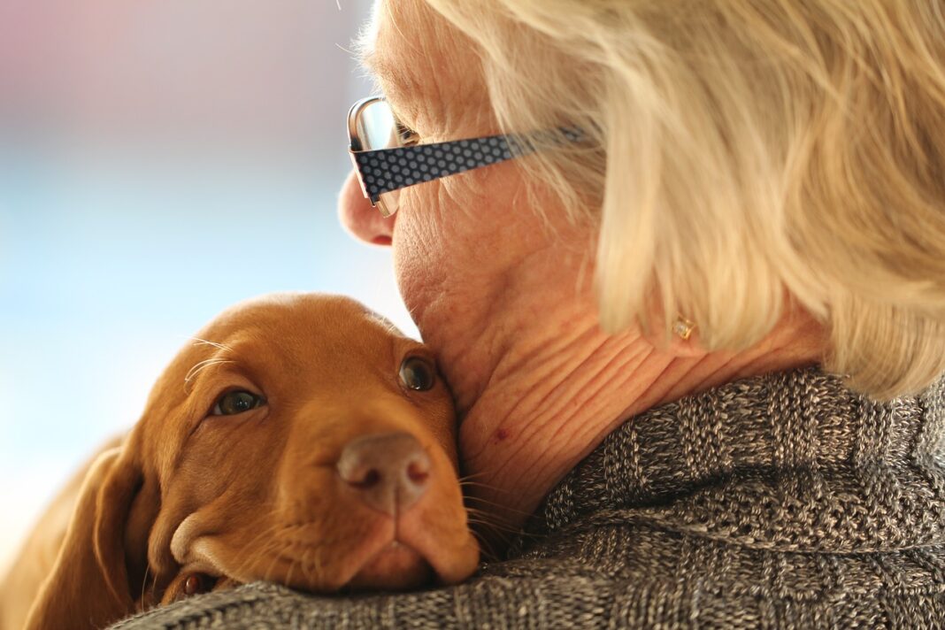 Ces animaux qui redonnent le sourire dans les maisons de retraite