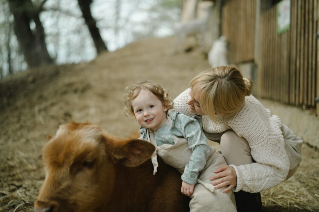 animaux de ferme