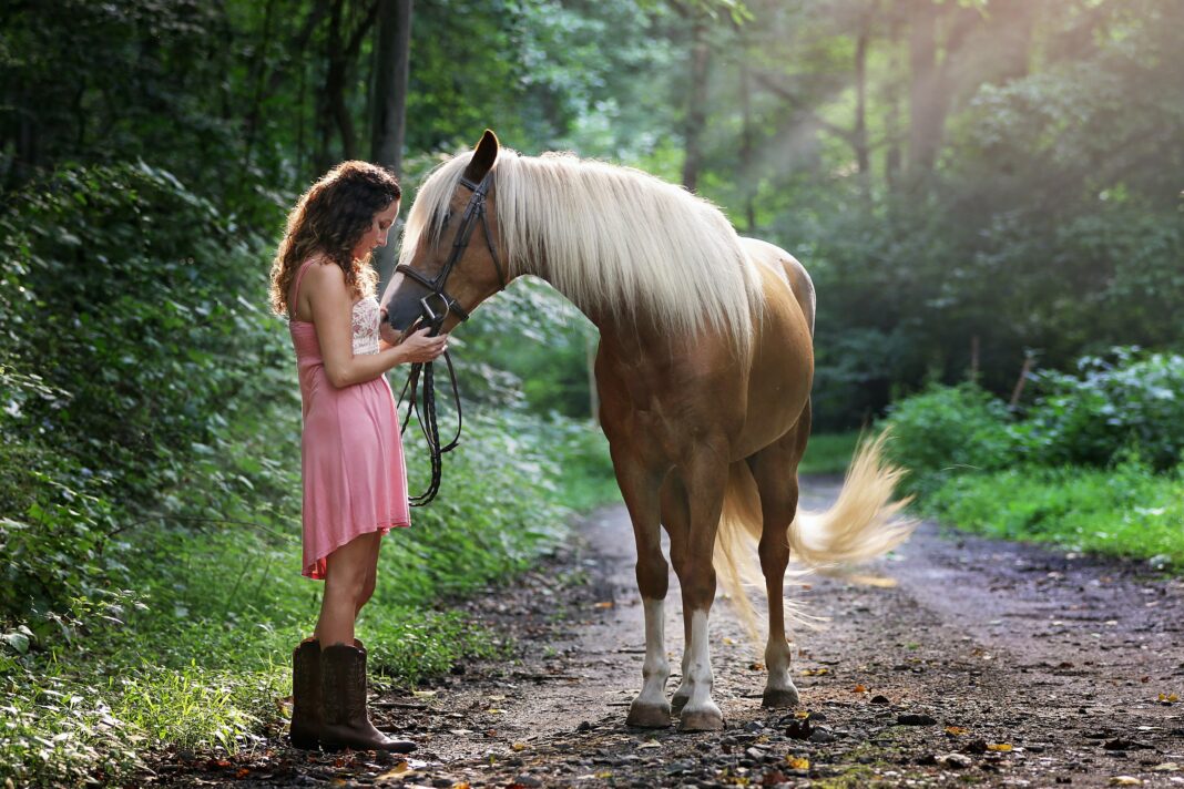 Pourquoi le cheval est l’animal star de la zoothérapie