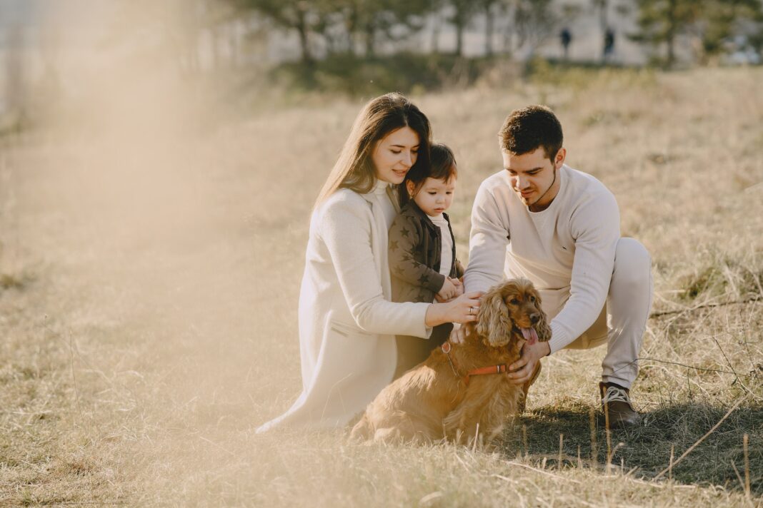 Et si vous deveniez famille d'accueil temporaire pour animaux