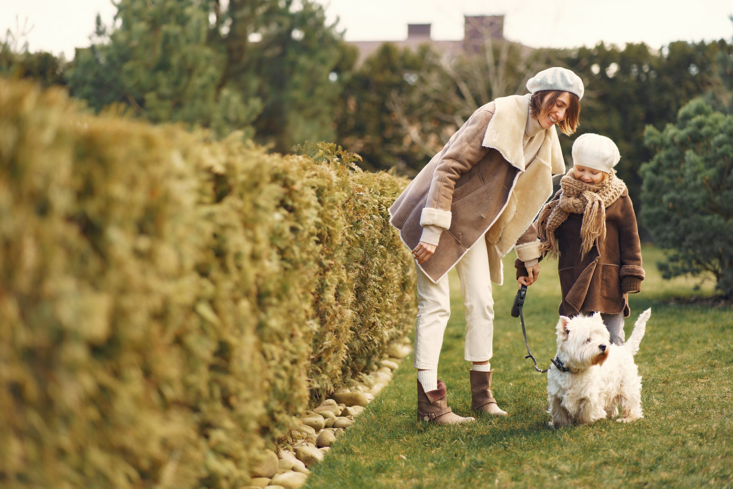  famille d'accueil temporaire animaux 