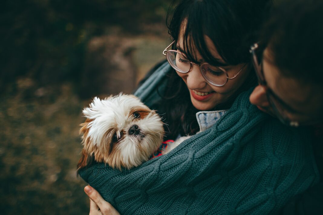 En Espagne les animaux de compagnie reconnus légalement comme des membres de la famille