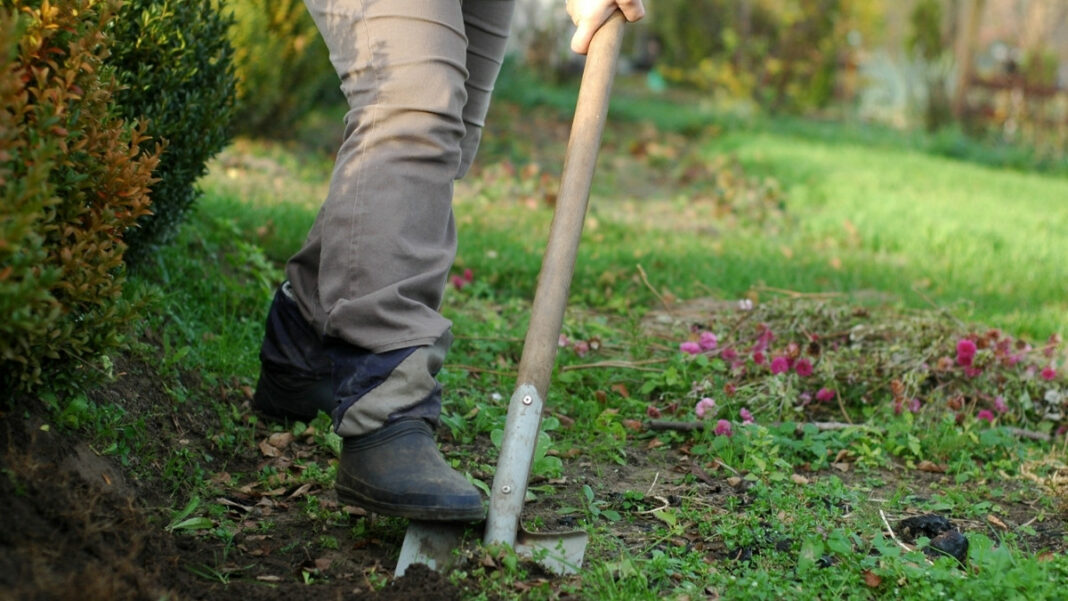 _animalerie.blog-Enterrer son animal dans son jardin