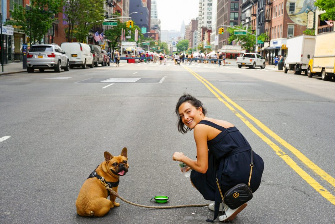 New York met fin aux animaleries