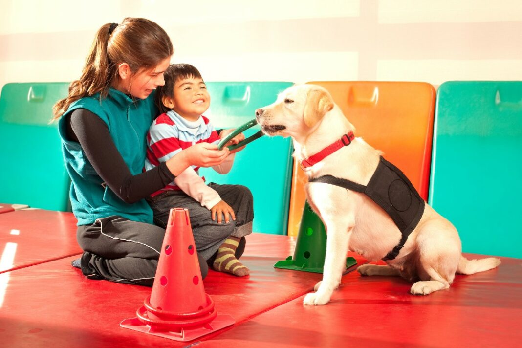 Animalerie.blog-chiens pour enfants autistes