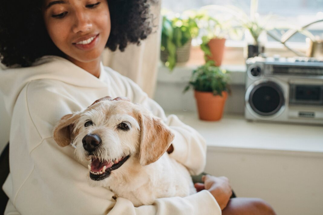 Les animaux de compagnie et la vie en appartement comment s'adapter