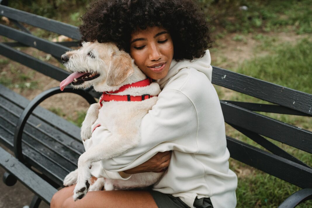 Ne faites pas de câlins et de bisous à votre chien !