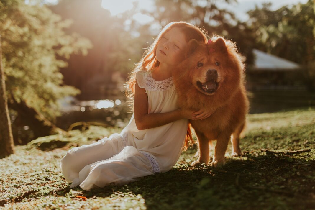 Les animaux de compagnie et les enfants bienfaits et responsabilités