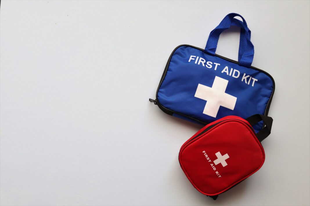 Kit de premiers secours pour chien ou chat