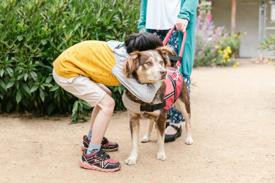 Malvoyants retourner à l'école avec son chien guide