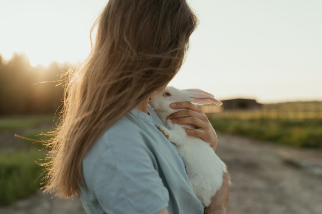 Les stars impliquées dans le combat contre la souffrance animale