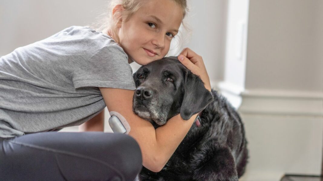 Chien d'alerte pour les crises de glycémie