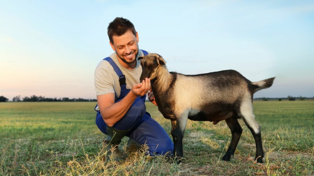 Devenir éthologue comprendre le comportement animal pour mieux les protéger